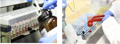 Crime Laboratory Careers Ncdoj Crime Laboratory Careers Ncdoj